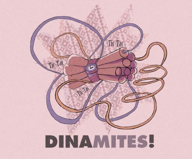 DinaMites